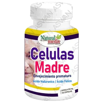 Células Madre